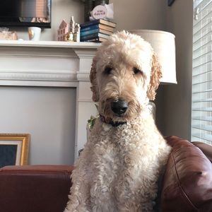 Meet your Posher, Lynn